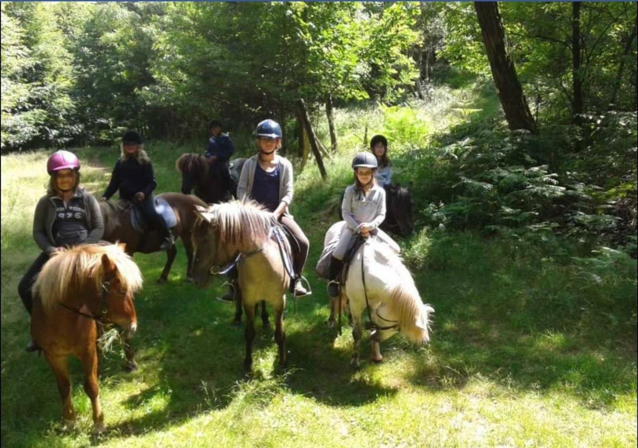 Suite Spa Privatif Verte Vallee, Sejour Zen Meisenthal Bagian luar foto